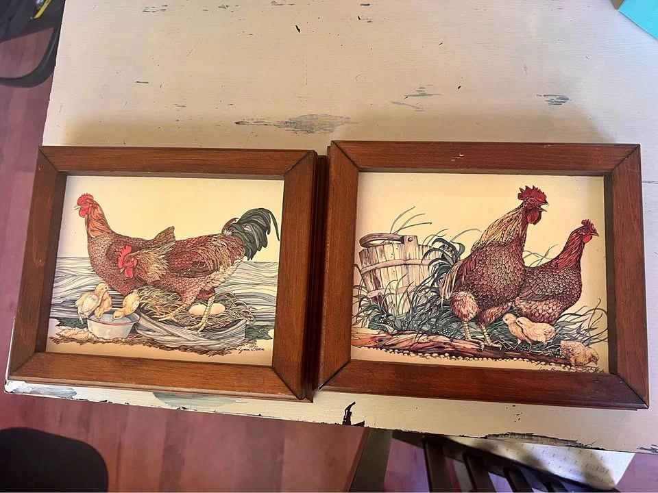 Chicken framed Art