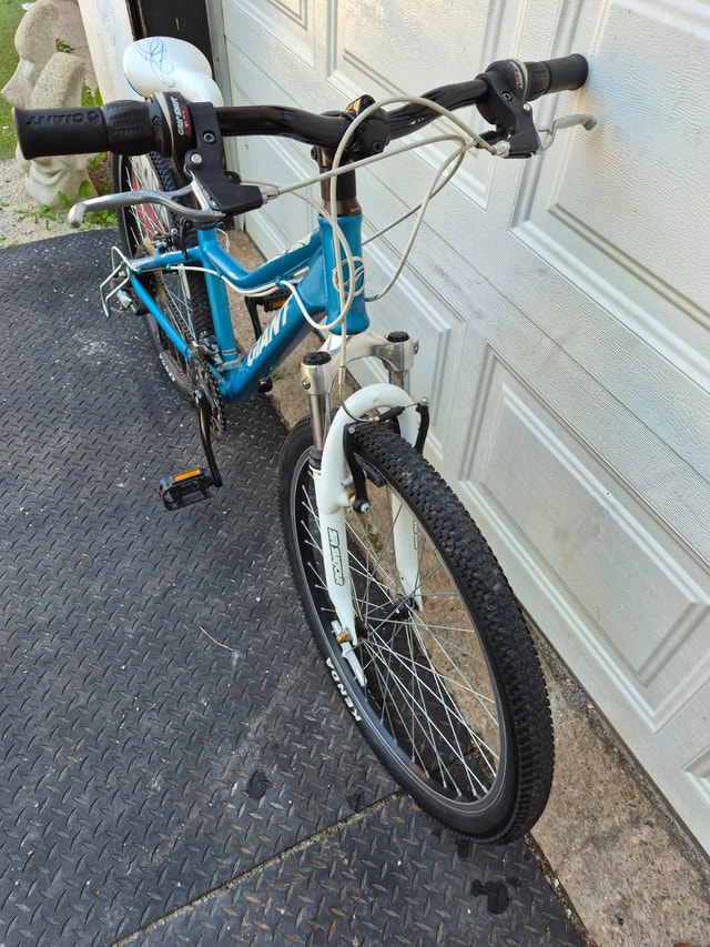 26'' wheel bike Grant Areva Blue white bicycle - photo 4