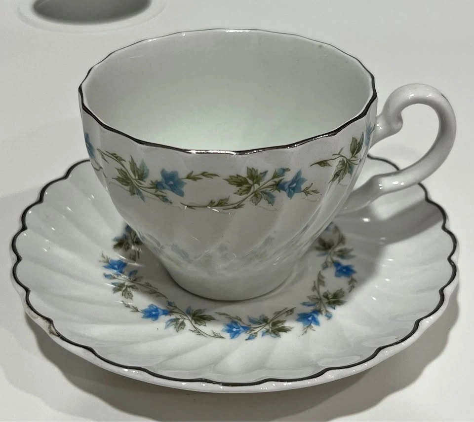 Tea Cup & Saucer Set