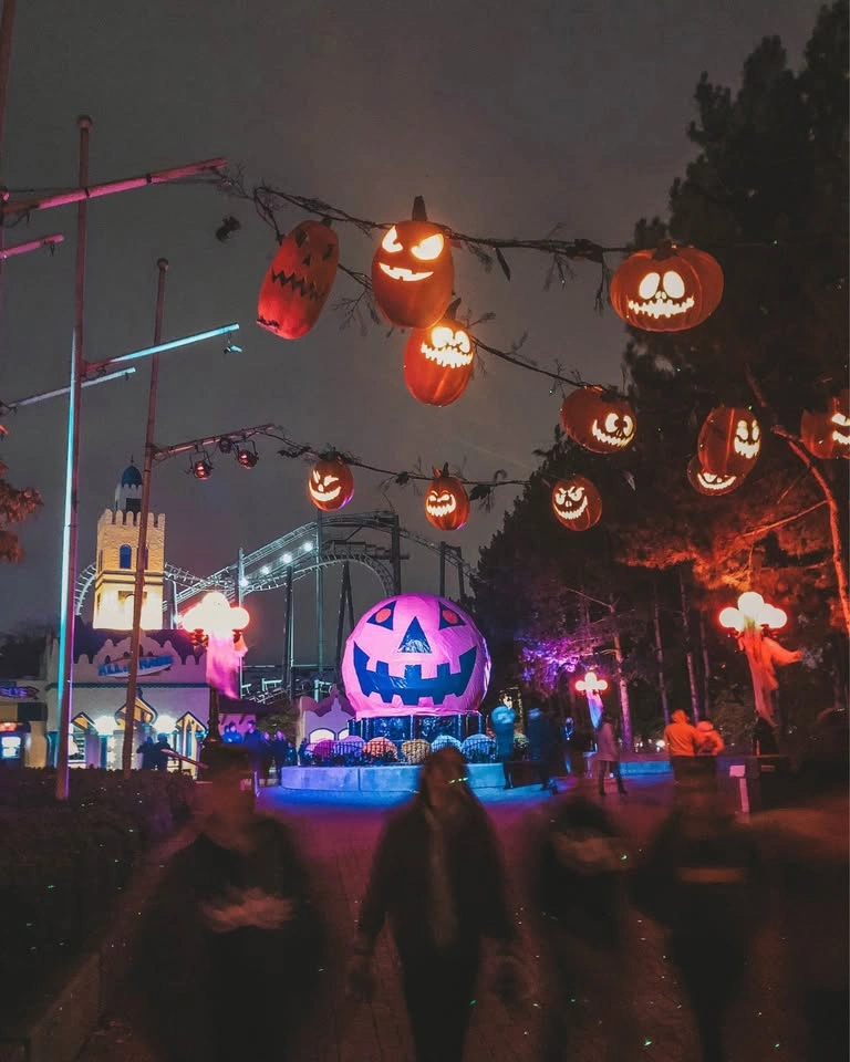 Canada’s Wonderland Tickets - photo 2