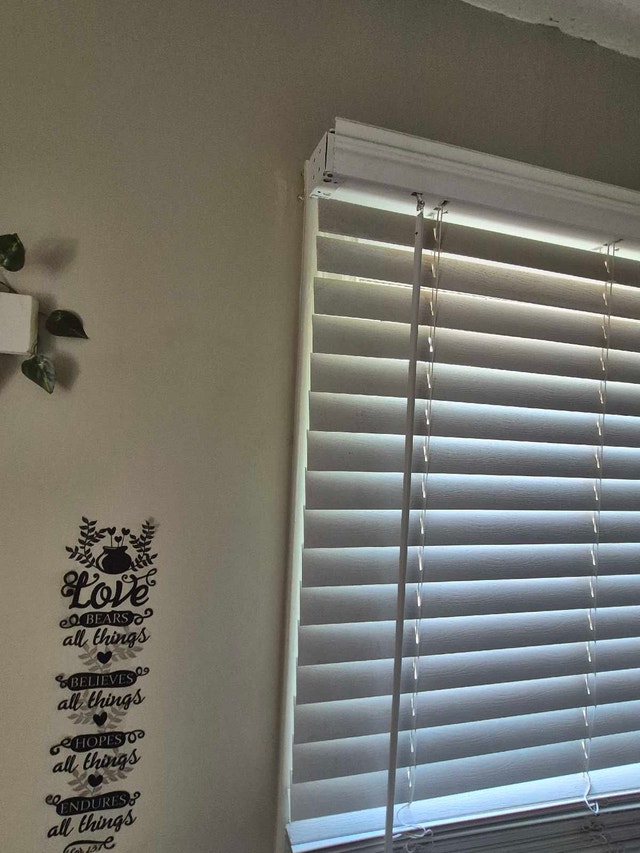 Horizontal Window Blinds