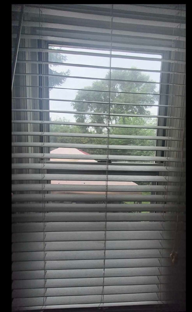 Horizontal Window Blinds - photo 2