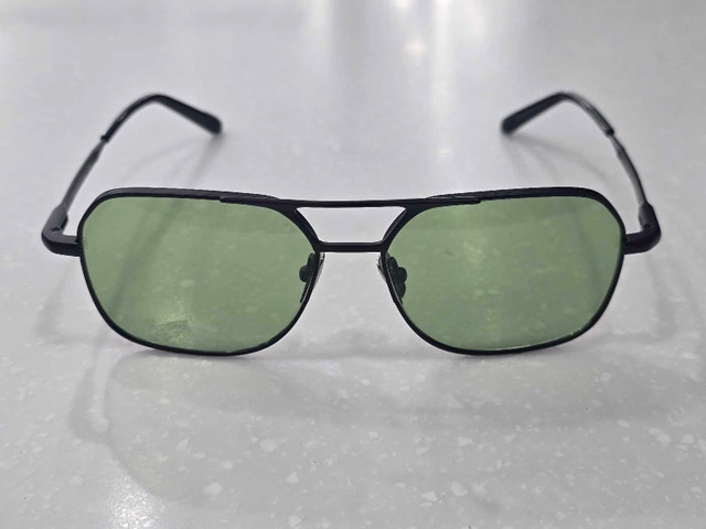 Rosvin Bugs Matte Black Metal Sunglasses - photo 2
