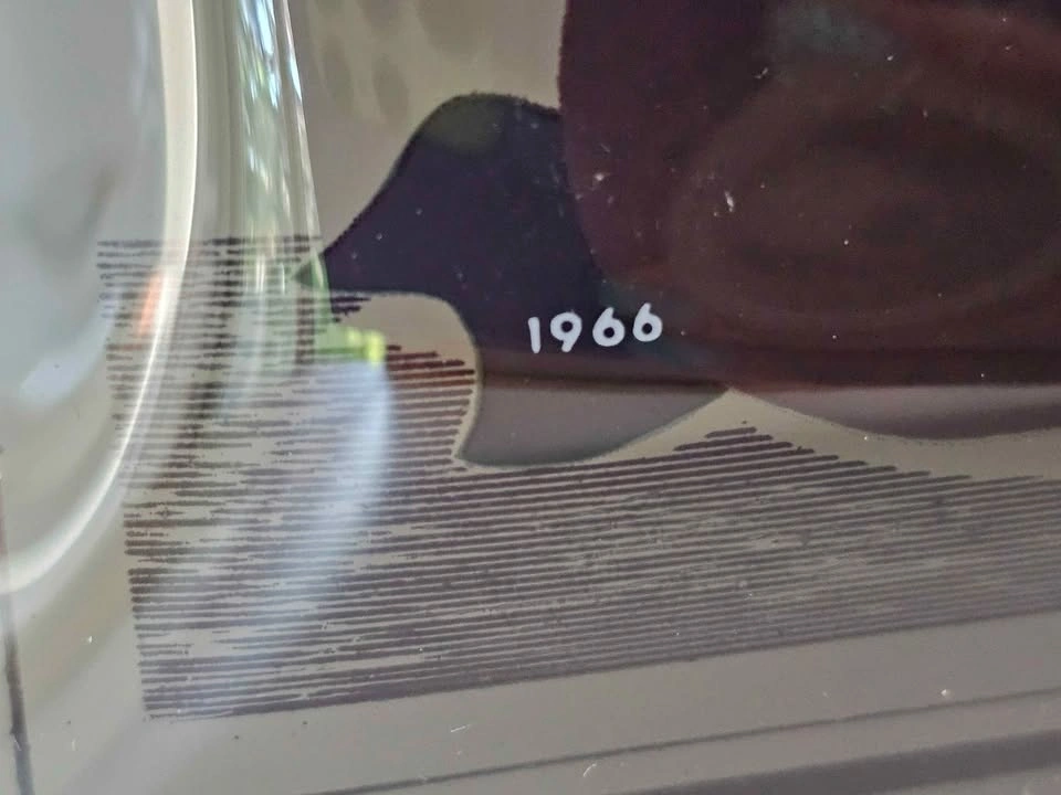 MCM 1966 Sunkist Glass Plate with Citrus Fruit - photo 3