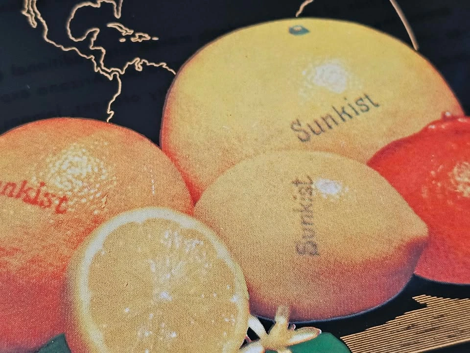 MCM 1966 Sunkist Glass Plate with Citrus Fruit - photo 4