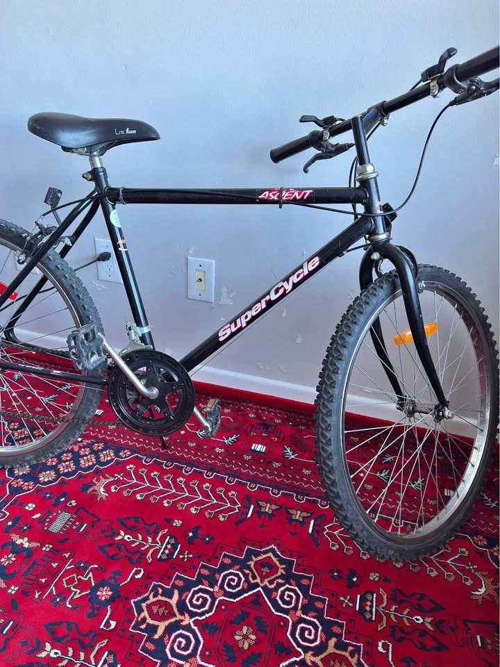 Bicycle for sale