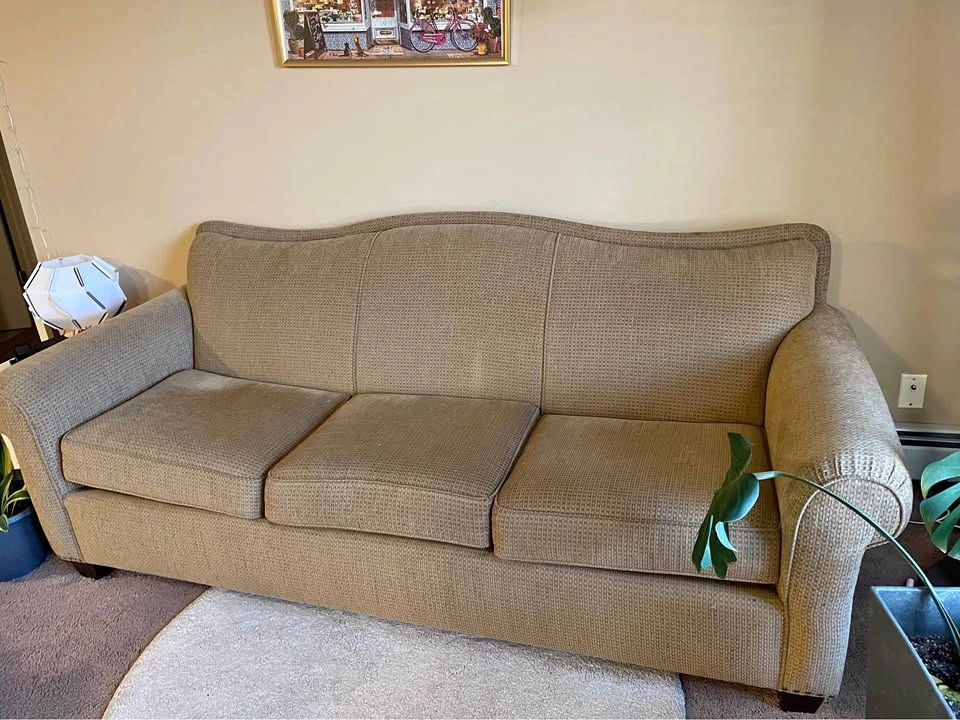 Comfortable sofa with cushions and cover