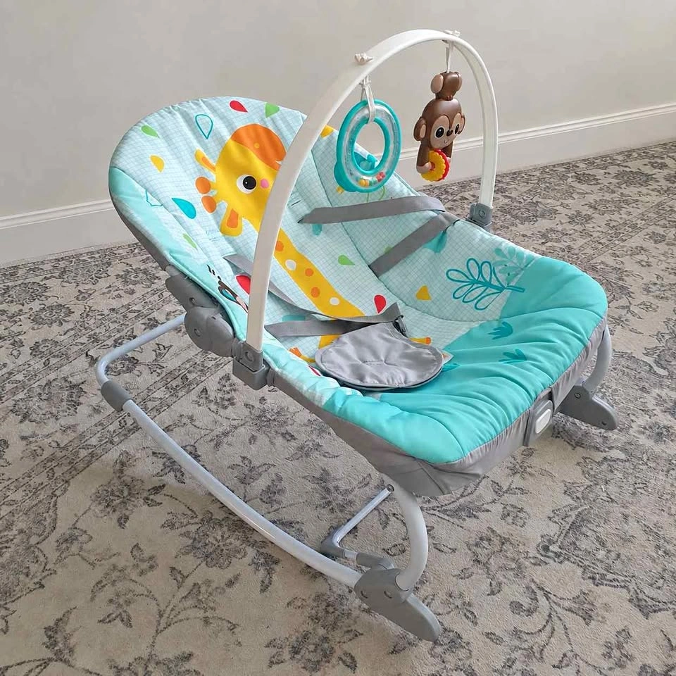 Bright Starts Wild Vibes Baby-to-Toddler Rocker
