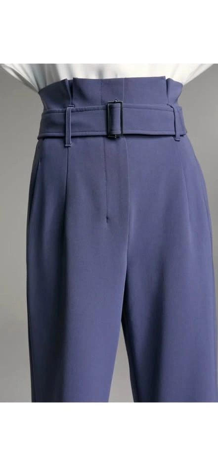 Aritzia Babaton Power Pant – Size 6 – Dive - photo 4