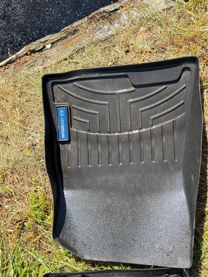 Genuine Hyundai Elantra Winter Foot Matte - photo 4