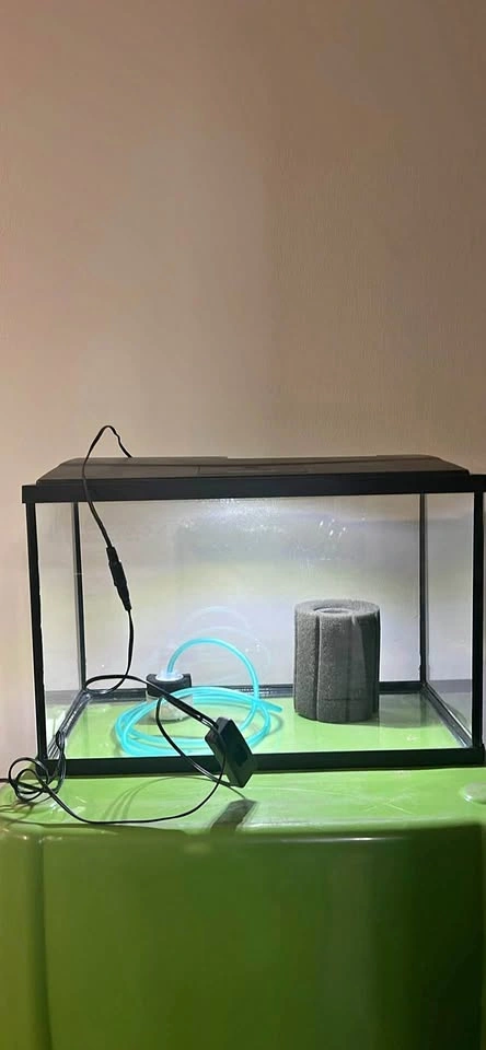10 gallon Glass Aquarium Tank with Lid and Accessories