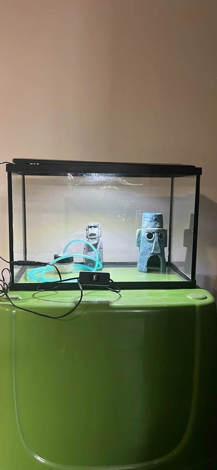 10 gallon Glass Aquarium Tank with Lid and Accessories - photo 2