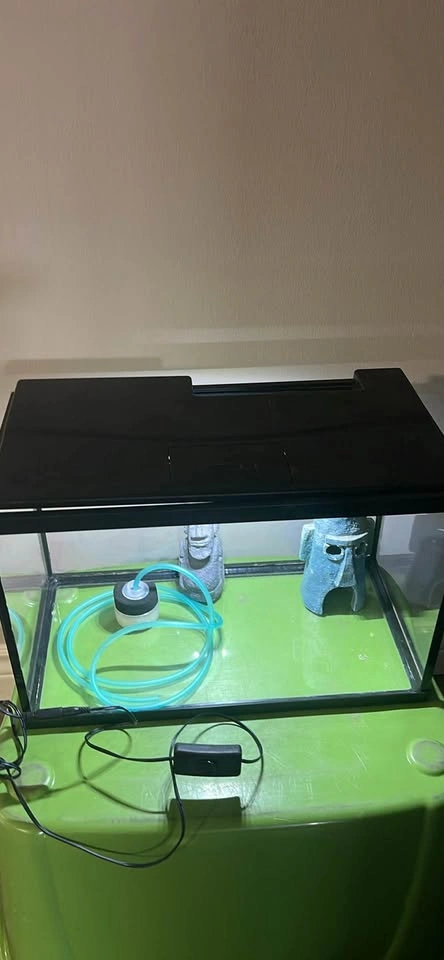 10 gallon Glass Aquarium Tank with Lid and Accessories - photo 4