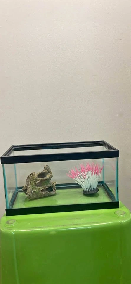 5 gallon Lowboy Fish Tank