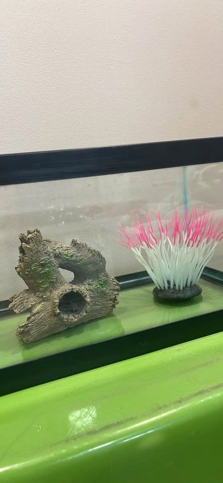 5 gallon Lowboy Fish Tank - photo 2