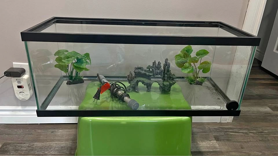 Glass Aquarium Tank with Accessories