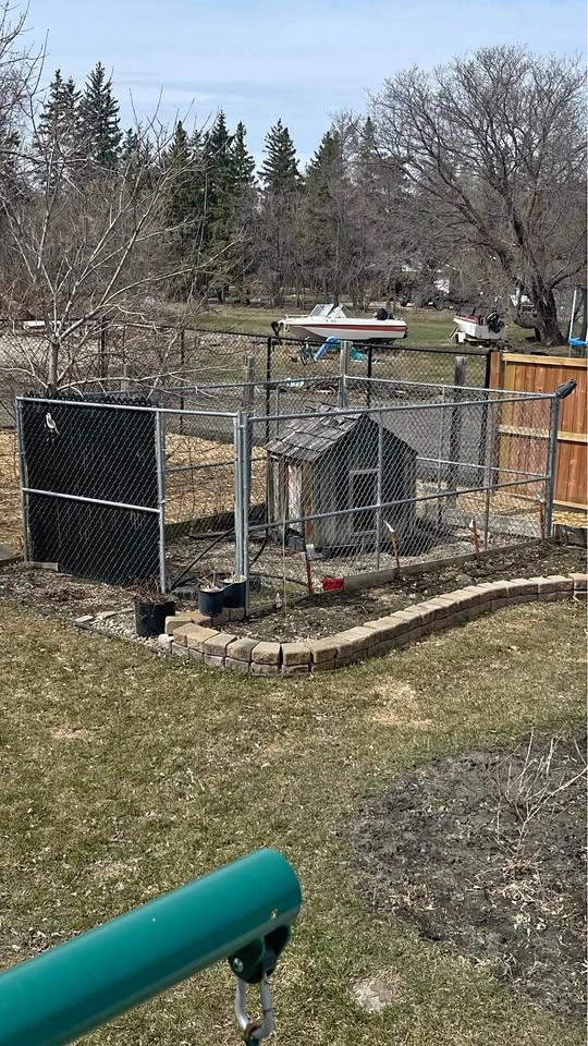 Dog Run