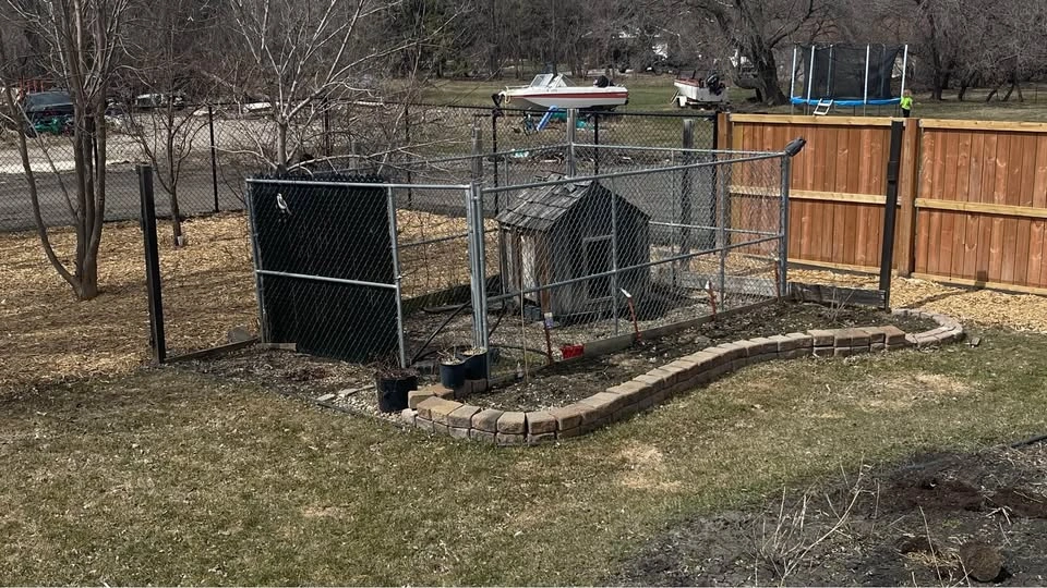 Dog Run - photo 2