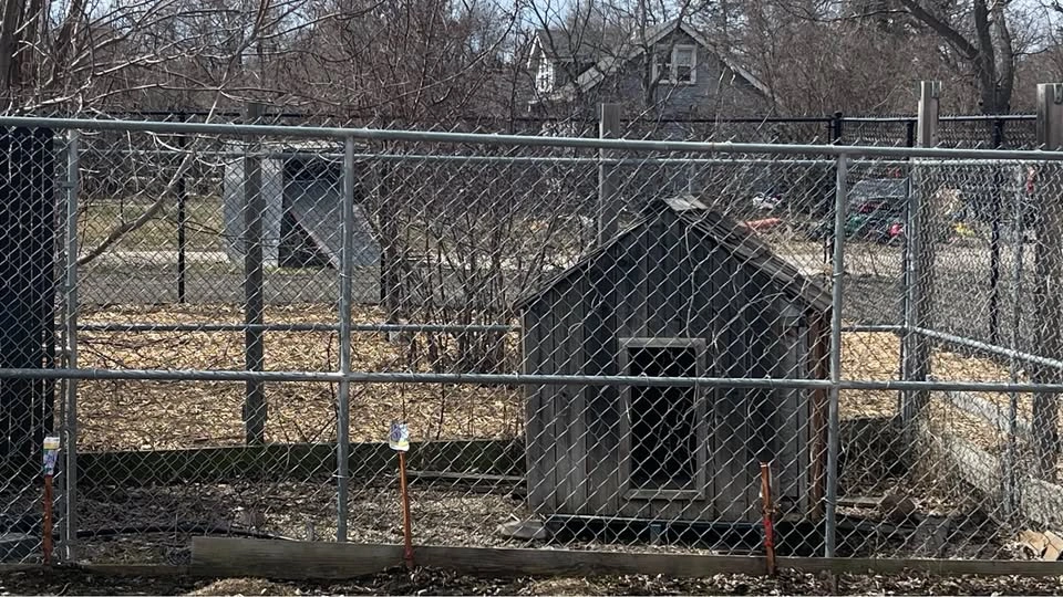 Dog Run - photo 3