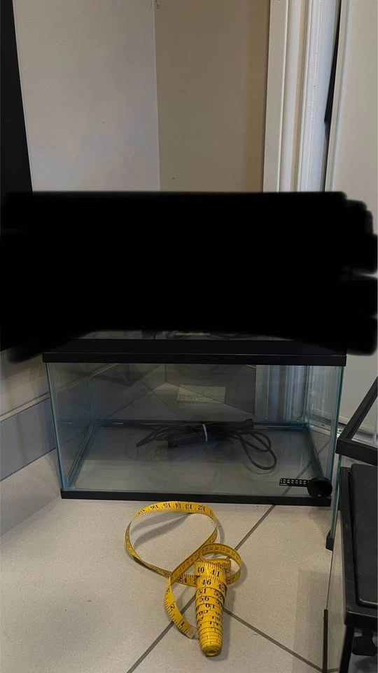 10 gallon tank