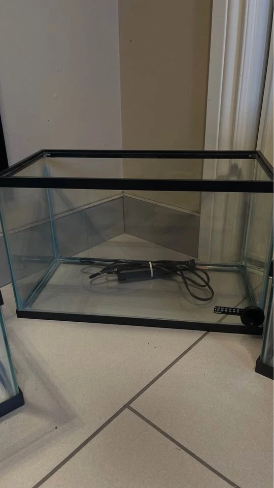 10 gallon tank - photo 2