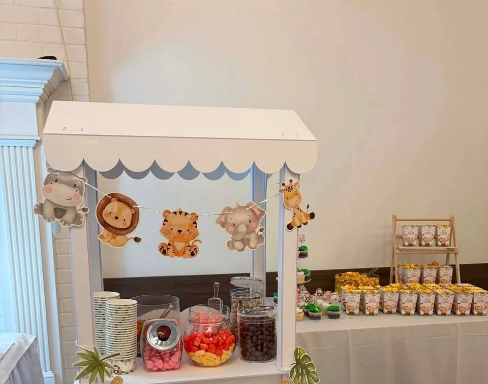 Safari Themed Bday Props and candy corner - photo 3