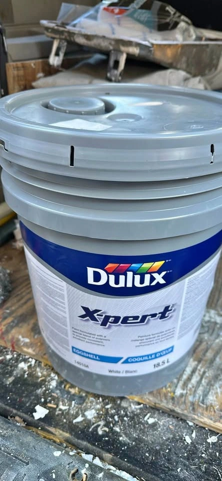 Paint New Full Pail Latex Eggshell Light Beige