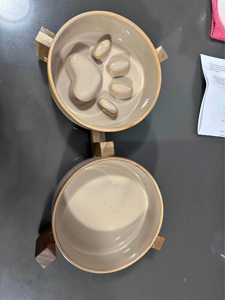 Ceramic Dog Bowl (Slow Feeder)