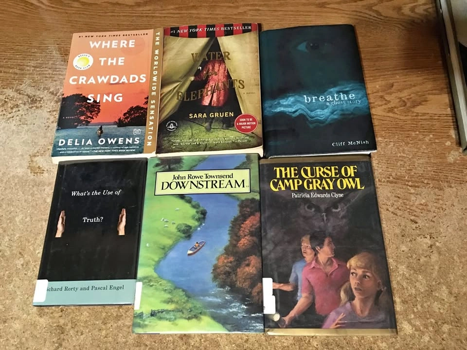 Lot of 6 Young Adult Novels and Books