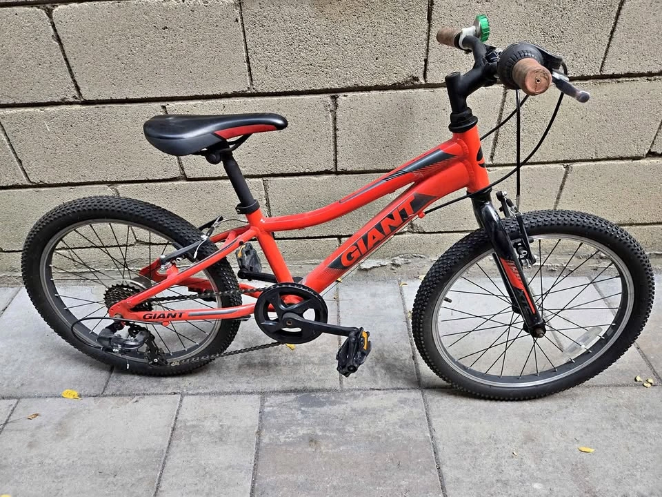 Giant XTC Jr Kids Bike