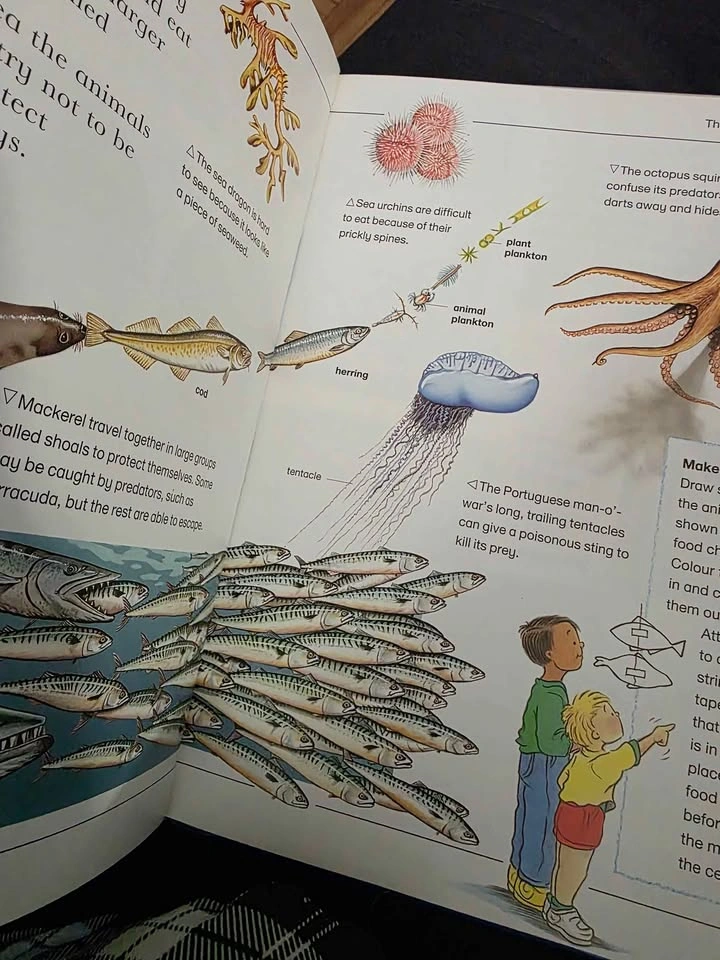 Learning Adventure Library - photo 2