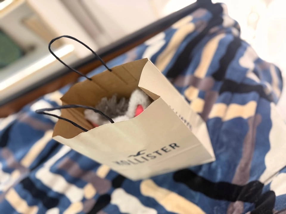 Free Plush Toy - photo 2
