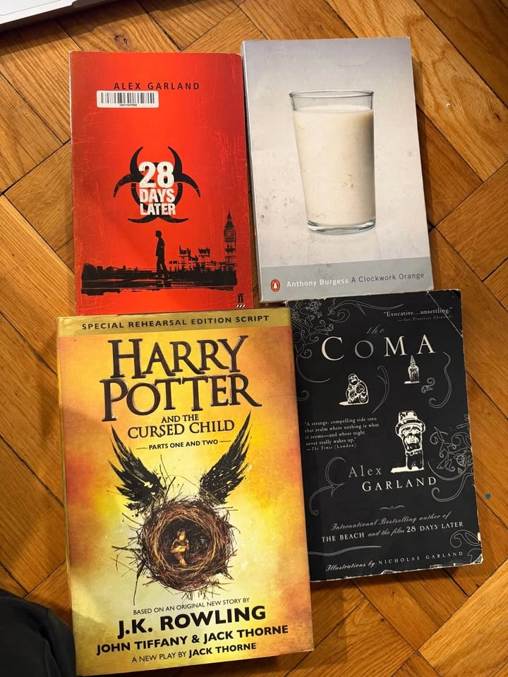 Historical, fiction, classic, and comic books - photo 3