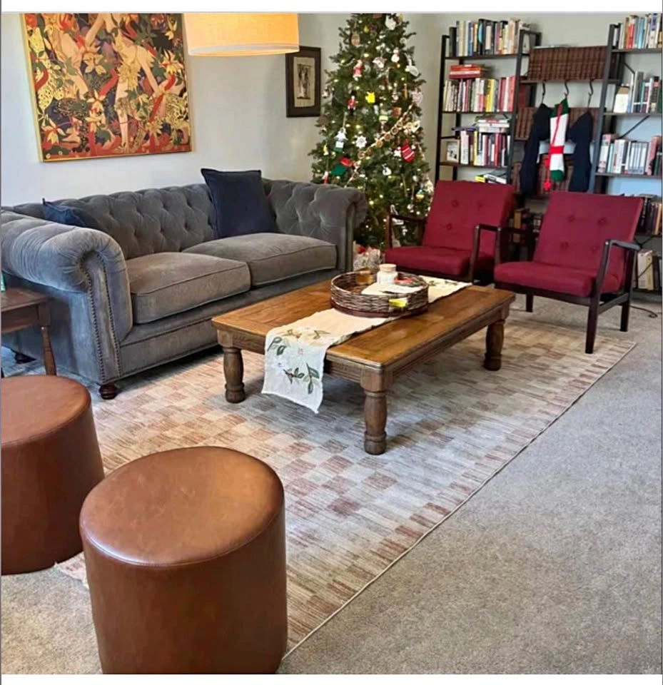 Area rug 10x13- like new