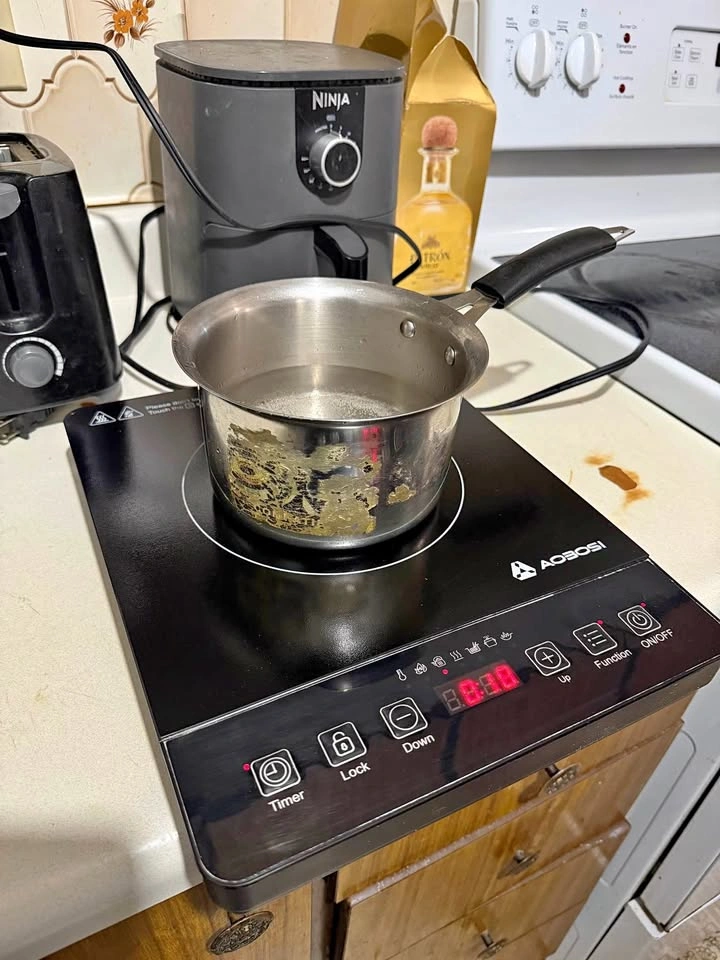 Aobosi Portable Induction Cooktop