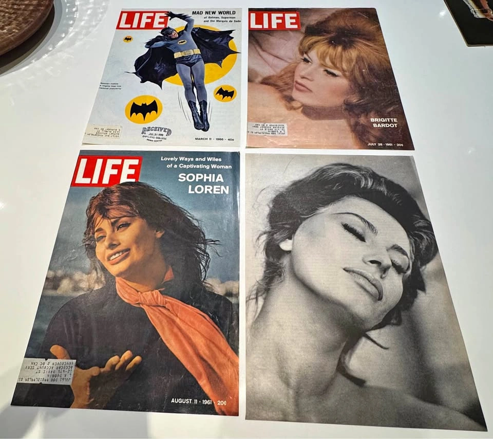 Vintage LIFE Magazine Covers & Original Prints Lot