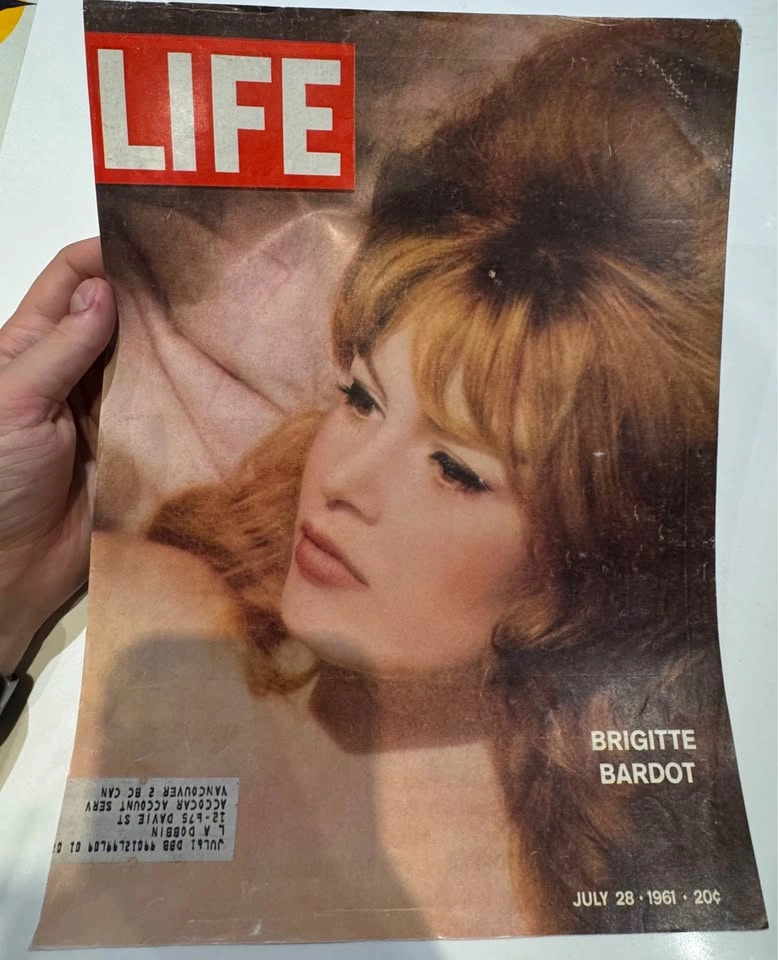 Vintage LIFE Magazine Covers & Original Prints Lot - photo 3