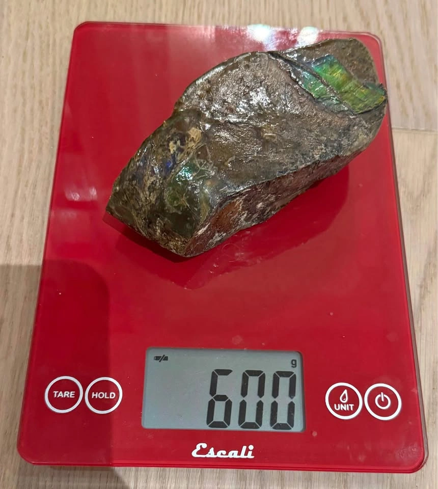 Large Ammolite Fossil Specimen – 600g Collector Display