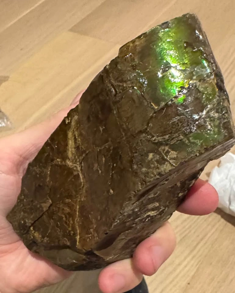 Large Ammolite Fossil Specimen – 600g Collector Display - photo 2