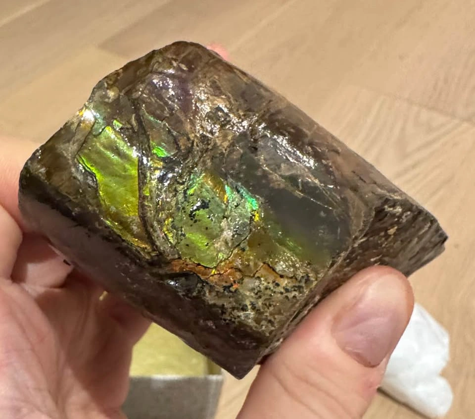 Large Ammolite Fossil Specimen – 600g Collector Display - photo 3