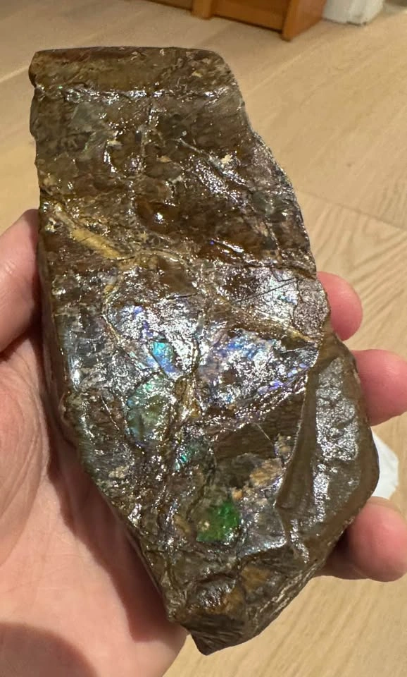 Large Ammolite Fossil Specimen – 600g Collector Display - photo 4