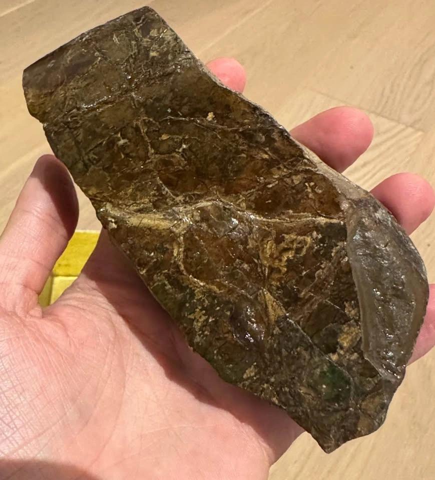 Large Ammolite Fossil Specimen – 600g Collector Display - photo 5