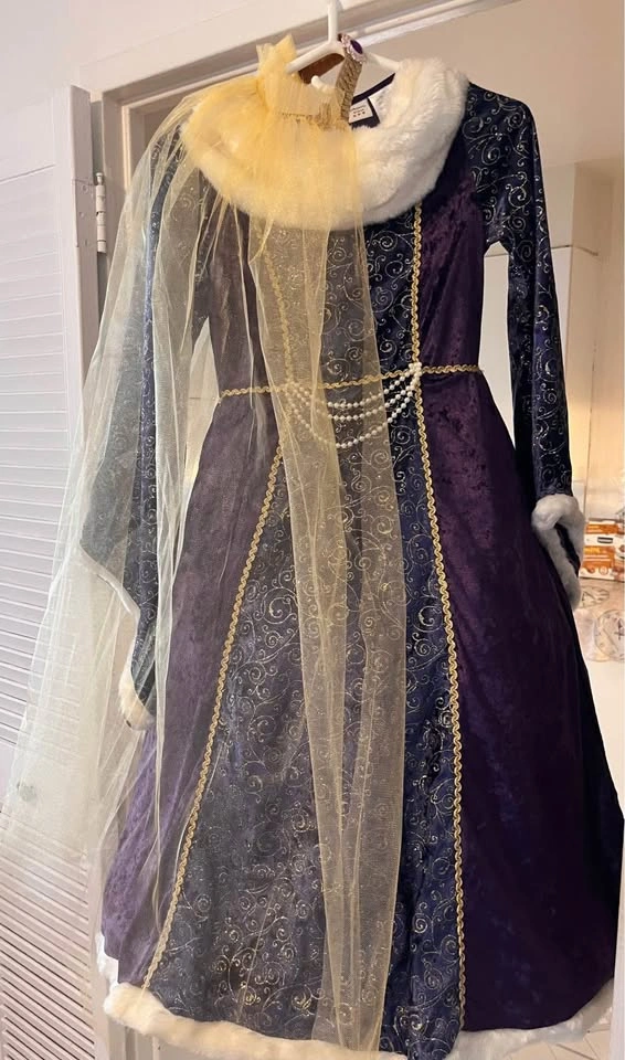 Kids Princess Renaissance Dress Halloween Costume Size 10-12 - photo 2