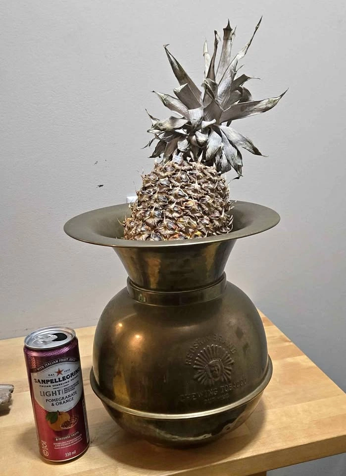 Large 10.5" Vintage Brass Planter / Floor Urn (Embossed)
