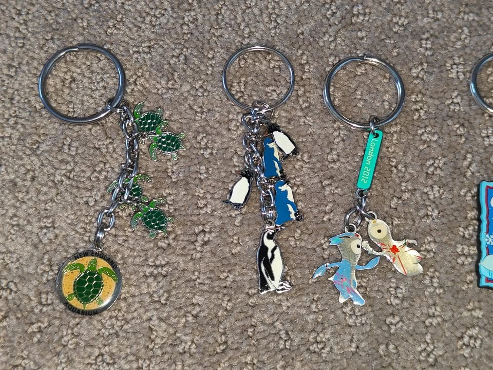 7 Various Canadian Wildlife, NY, Aquarium, London Keychains - photo 2