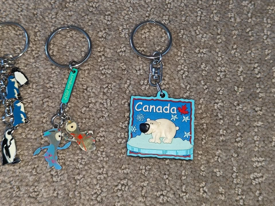 7 Various Canadian Wildlife, NY, Aquarium, London Keychains - photo 3