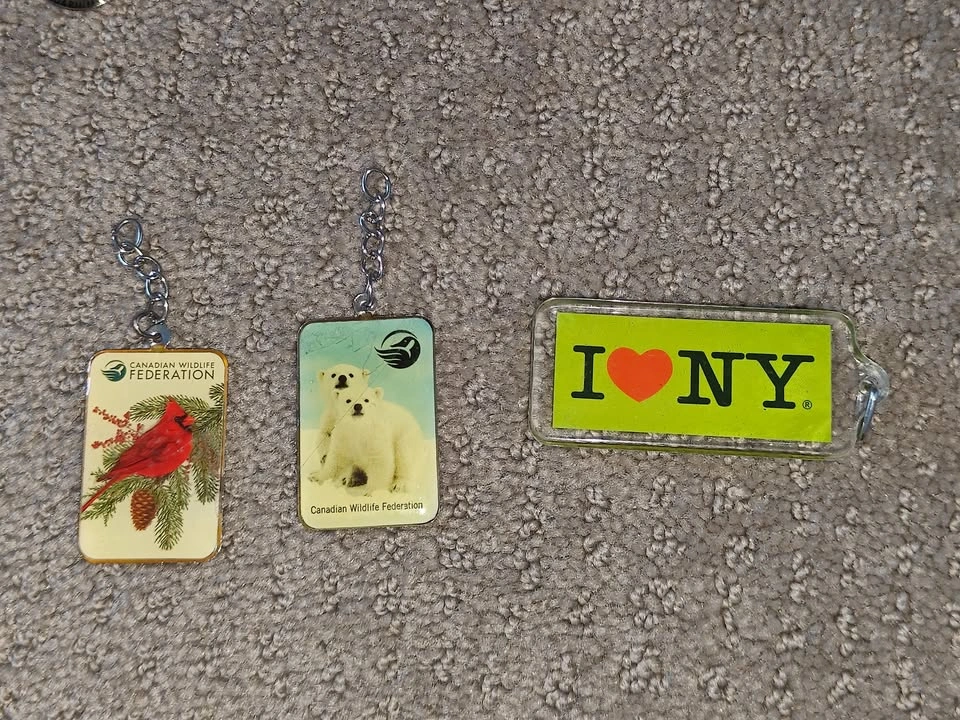7 Various Canadian Wildlife, NY, Aquarium, London Keychains - photo 4