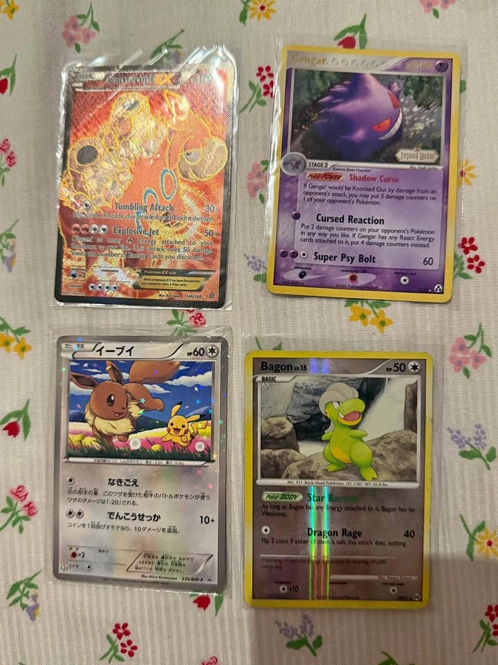 Pokémon Card Lot – Gengar, Camerupt EX, Eevee Promo + Bagon