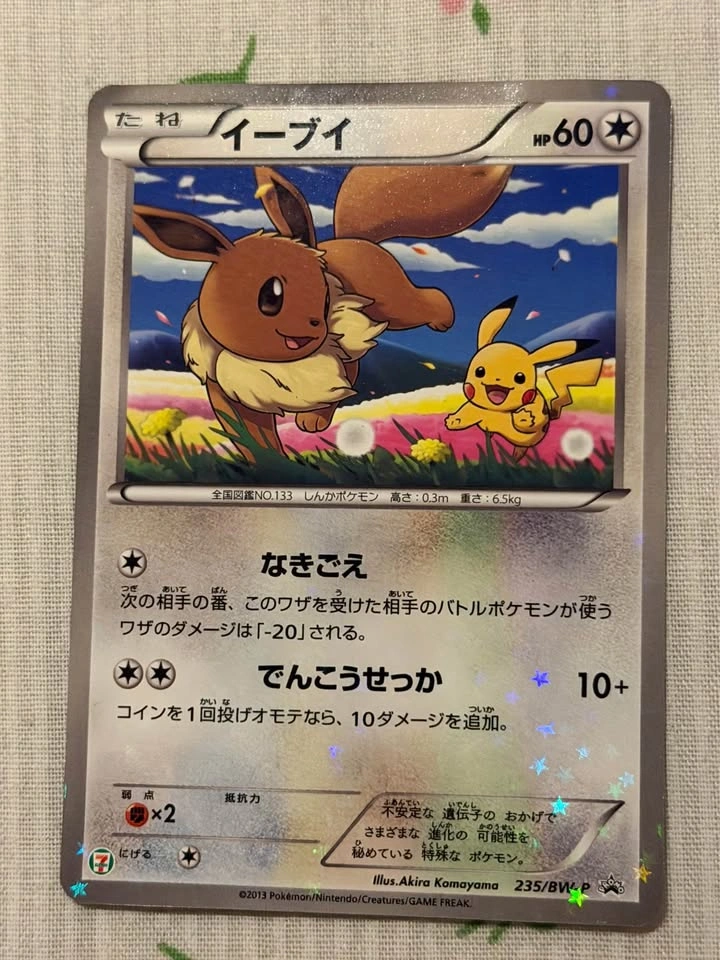Pokémon Card Lot – Gengar, Camerupt EX, Eevee Promo + Bagon - photo 2