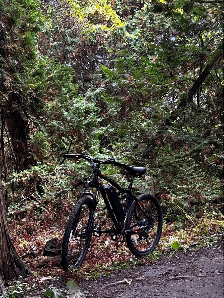 Fifth wheel e bike
